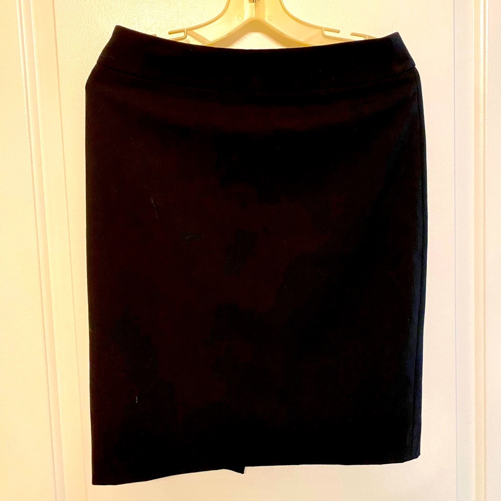 Express Pencil Skirt